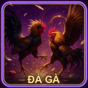 Thể Thao 8win55