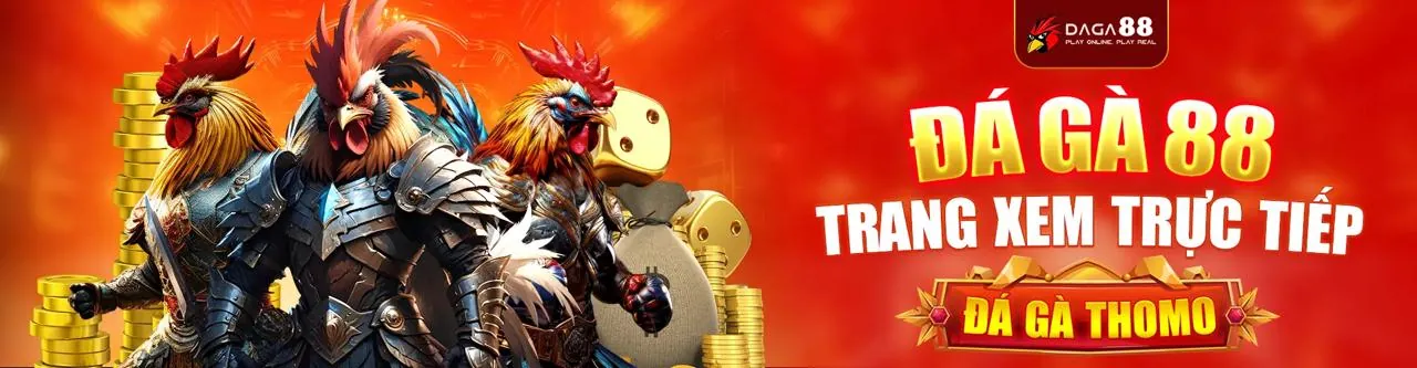 Đấu trường đá gà 8win55 sôi động