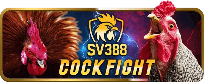 Chuyên mục khuyến mãi 8win55